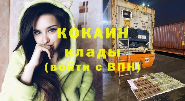дурь Дмитриев