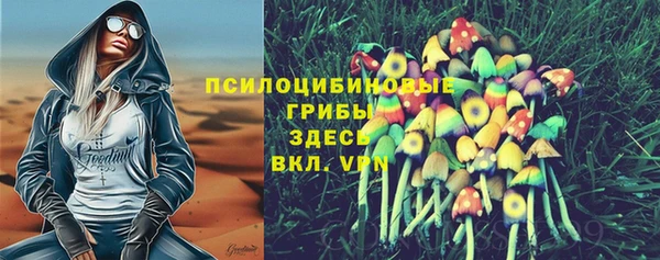 мескалин Заводоуковск
