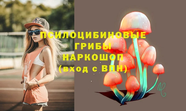 альфа пвп Елизово